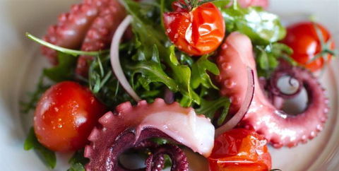 Afghan Valley Restaurant - Taree Accommodation 9