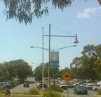 Anglesea Fish Shop - Taree Accommodation