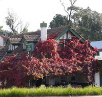 Fetching Treasures - Taree Accommodation