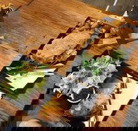 Two Little Owls Cafe - Taree Accommodation