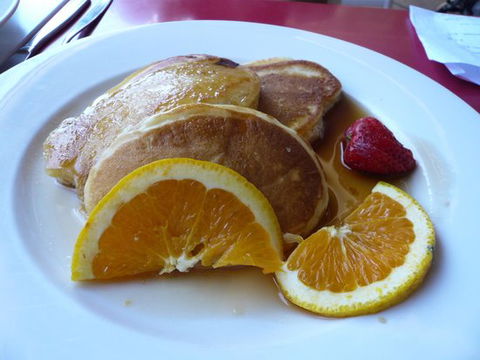 Hungry Wolf's - Taree Accommodation 0