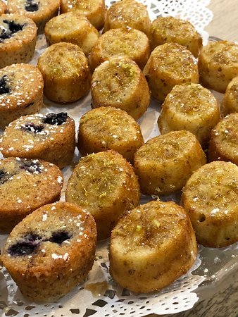 Nambucca Heads NSW Taree Accommodation