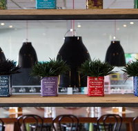 Collegians Balgownie - Taree Accommodation