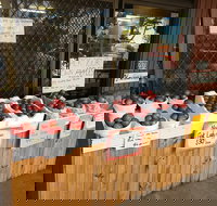 The Pines Orchard - Taree Accommodation