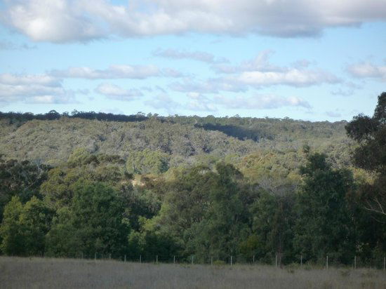 Canyonleigh NSW Taree Accommodation