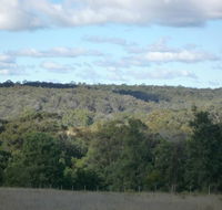 U Saucey Thing - Taree Accommodation