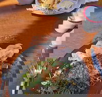 Painted Horse Cafe - Taree Accommodation