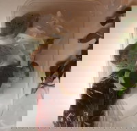 Dai Nam Cafe  Restaurant - Taree Accommodation