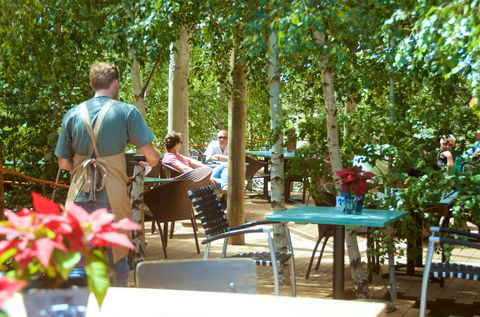 Mr Grubb @ Oakdene - Taree Accommodation 0