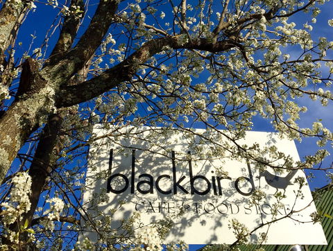 Blackbird Cafe - Taree Accommodation 2