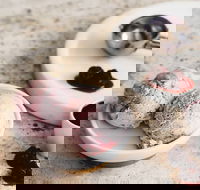 Gelatissimo - Wetherill Park - Taree Accommodation