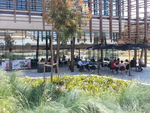 Aroma Cafe - Mawson Lakes - Taree Accommodation 0