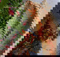 Cafe on Johnston - Taree Accommodation