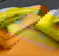 House Of Canton - Taree Accommodation