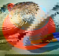 Phillips  Co - Taree Accommodation