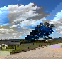 Short Sheep Micro-Winery - Taree Accommodation