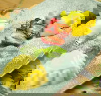 Clarendon Melbourne - Taree Accommodation