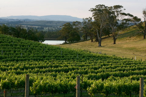 Granite Hills Winery - Taree Accommodation 0