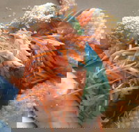 On Shore - Taree Accommodation