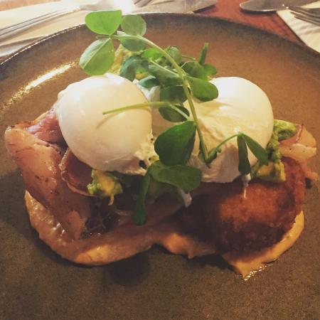 A Fan's Notes - Taree Accommodation 0