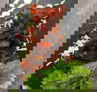 Le Wrap - Prairiewood - Taree Accommodation