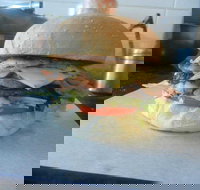 Scott Street Fish  Chips - Taree Accommodation