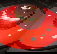 Wooden Spoon Cakes - Taree Accommodation