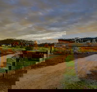 Baarmutha Wines - Taree Accommodation