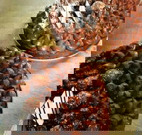 French Tarts - Taree Accommodation