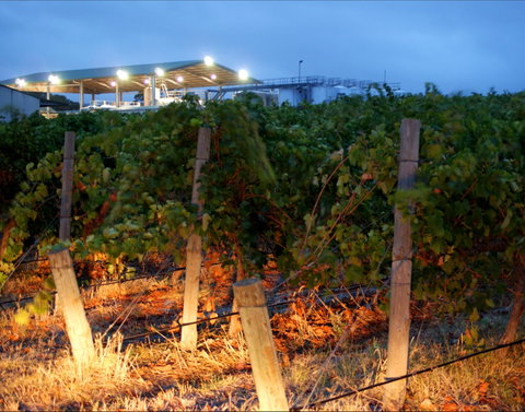 Haselgrove Wines - Taree Accommodation 0