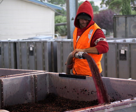 Haselgrove Wines - Taree Accommodation 2