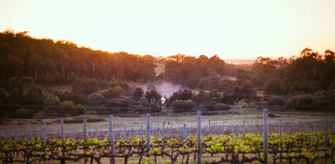 Howling Wolves Wines - Taree Accommodation 0