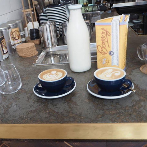 Andy's Poke - Taree Accommodation 0