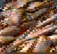 Pacific Eats - Taree Accommodation