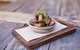 Eltons Eating + Drinking - thumb 1