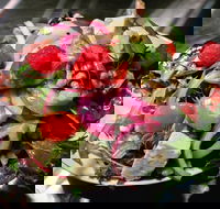 Osteria Antica - Taree Accommodation