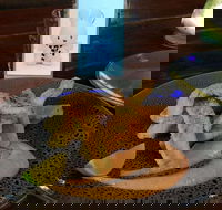 Cocina Mexican Grill and Cantina - Taree Accommodation