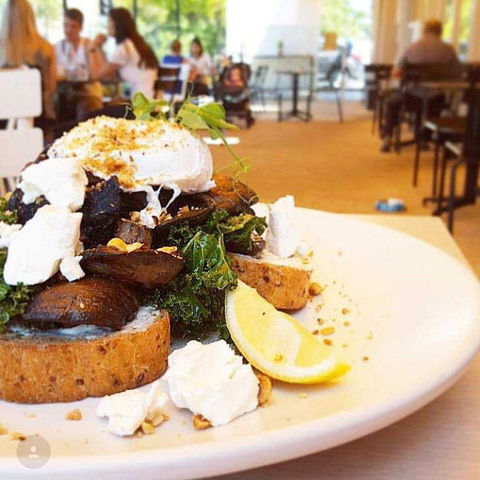 Aunt Billies Cafe - Taree Accommodation 0