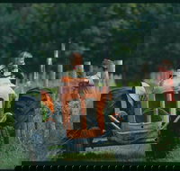 Oranje Tractor Wine - Taree Accommodation