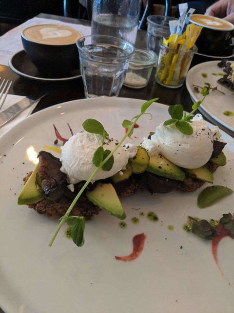 Indulge - Taree Accommodation 0