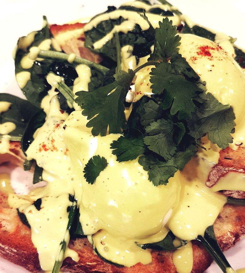 Jamaica Blue - Success - Taree Accommodation 0