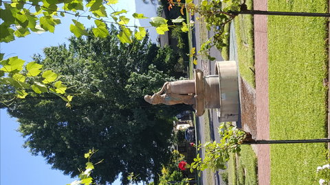 Michelini Wines - Taree Accommodation 1