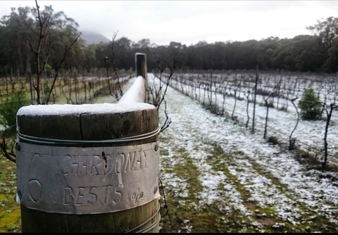 Mount Buninyong Winery - Taree Accommodation 1