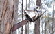 Mount Buninyong Winery - thumb 2