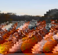 Wharf Street Cafe - Taree Accommodation