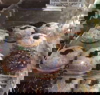 Gaffney Place - Taree Accommodation