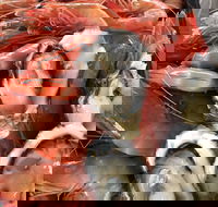 Mi Shells Seafood - Taree Accommodation