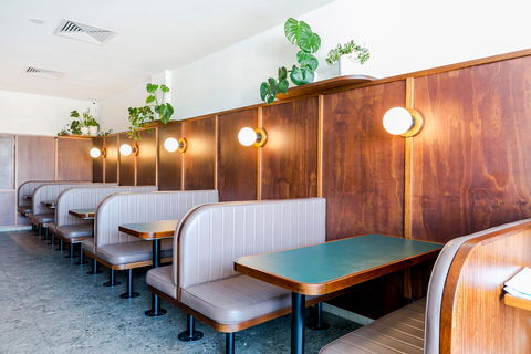 Anchovy Bandit - Taree Accommodation 1