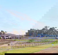 Blacklea Vineyard and Olive Grove - Taree Accommodation