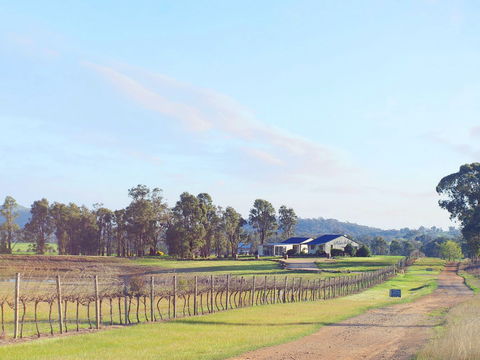 Blacklea Vineyard And Olive Grove - Taree Accommodation 0